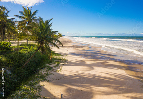 Tropical deserted beach with coconut trees