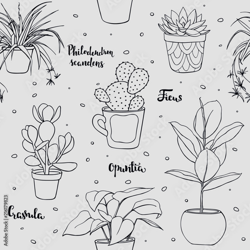 Vector seamless home plants pattern. Vector hand drawn illustration set with lettering.