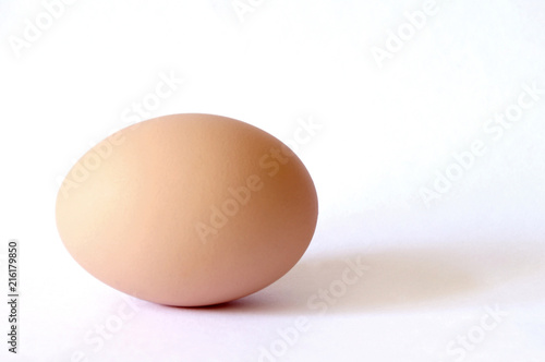 Egg isolated on white background. 
