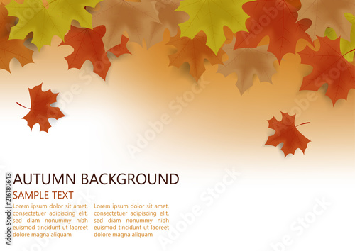 Autumn background decor with autumn maple leaves and space for text  advertising brochure  leaflet  poster  banner. Vector illustration EPS10.