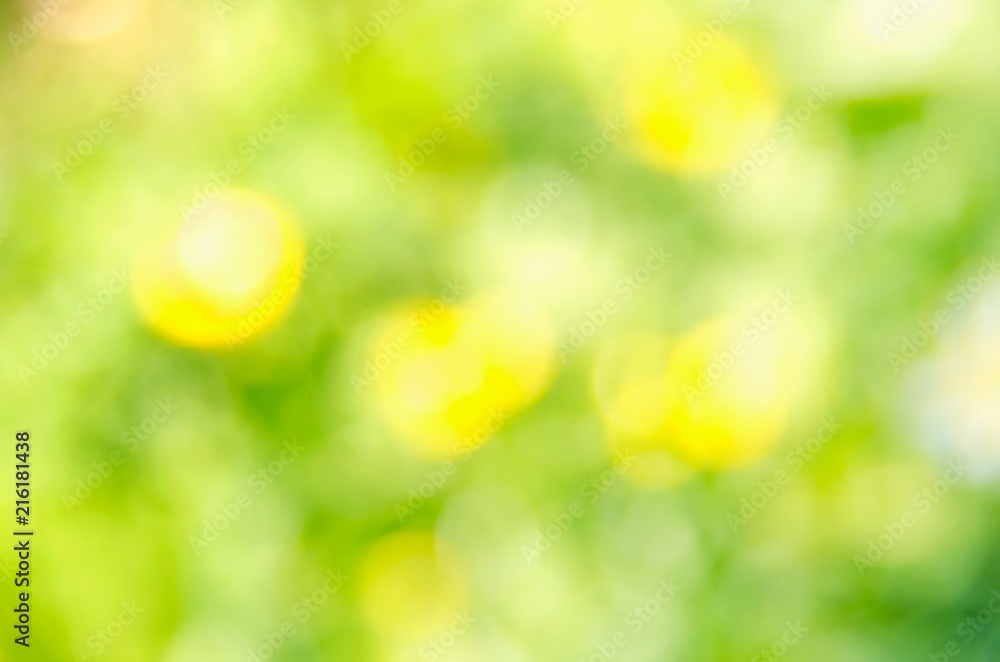 Natural green yellow blurred background. Summer bokeh on nature defocus abstract blur background.