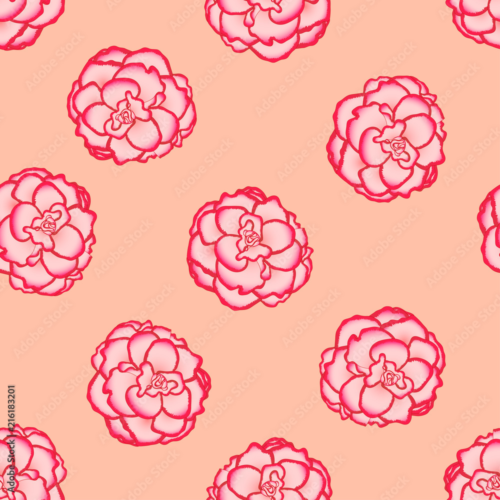 Pink Begonia Flower, Picotee First Love on Light Orange Background Pink Begonia Flower, Picotee First Love on Light Orange Background