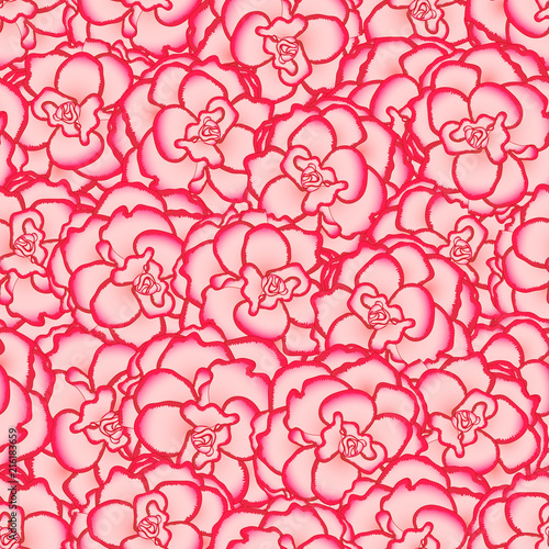 Pink Begonia Flower, Picotee First Love Seamless Background