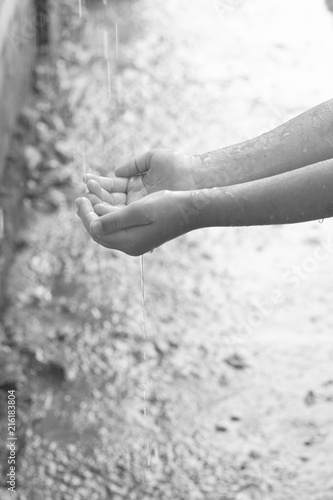 The child's hands catch raindrops. Black and white photography. © valeriya