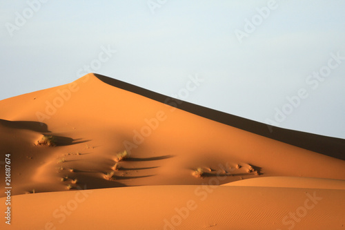 Dune on the Sahara Desert. Morocco