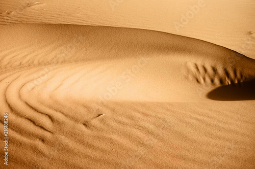 Whirl and ripple sand texture. Sahara Desert. Close up. Morocco.