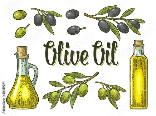 Bottle glass oil with cork stopper and branch olive with leaves