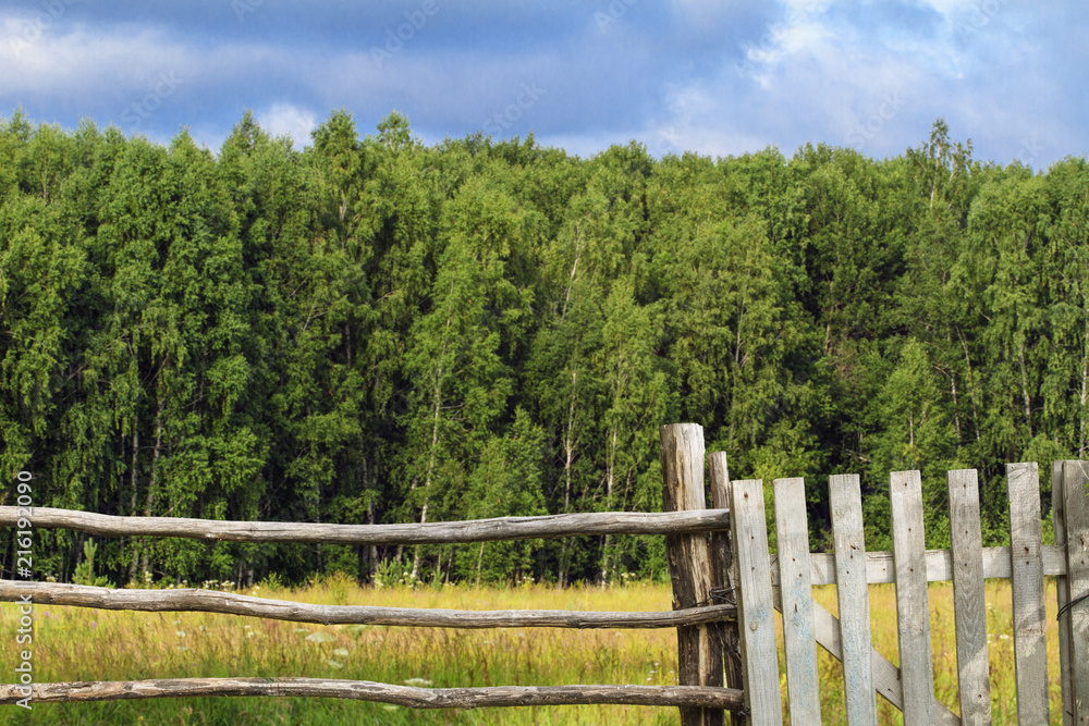 Old wooden fence with wicket in background of green grasses and forest. Scenic landscape. Concept of rural way of life Old wooden fence with wicket in background of green grasses and forest. Scenic landscape. Concept of rural way of life