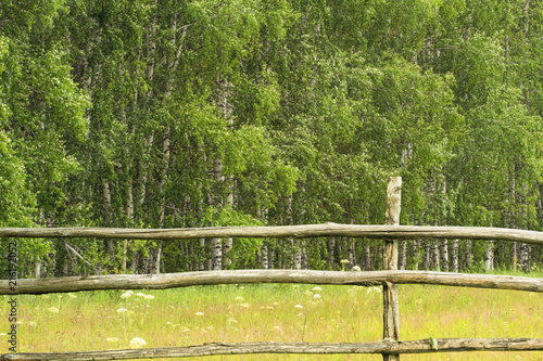 Old wooden fence on background of birch forest. Rustic lifestile concept