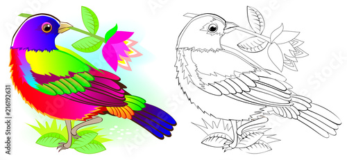 Colorful and black and white pattern for coloring. Illustration of cute painted bunting. Worksheet for children and adults. Vector image.