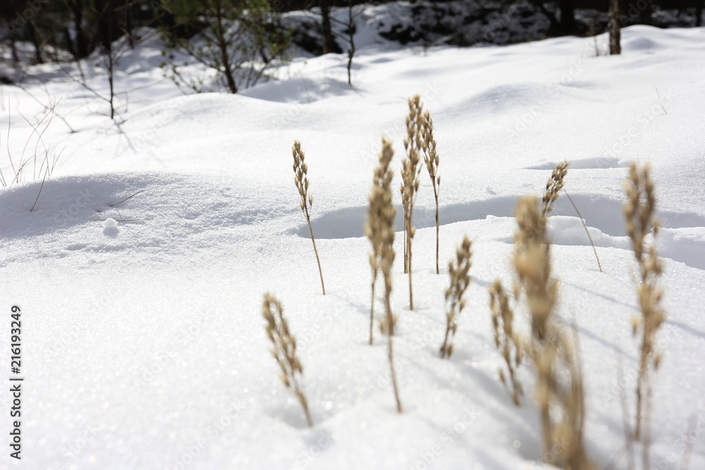 Snow 2 Snow 2