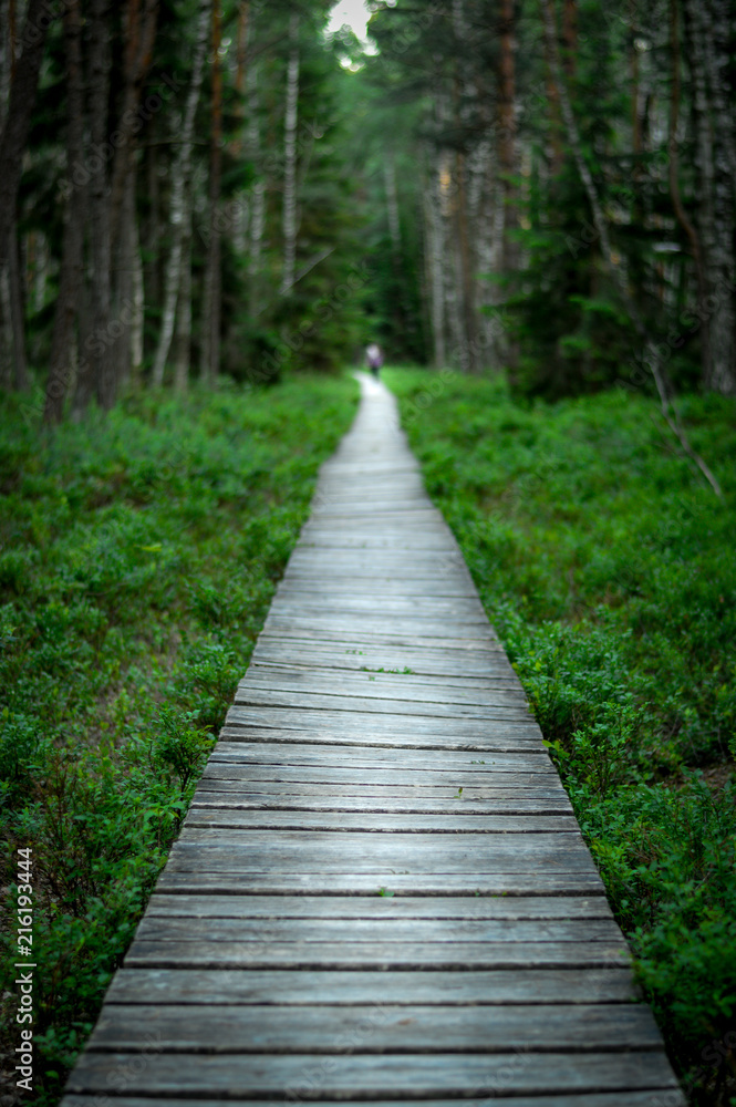 Wooden pathway in a park Wooden pathway in a park