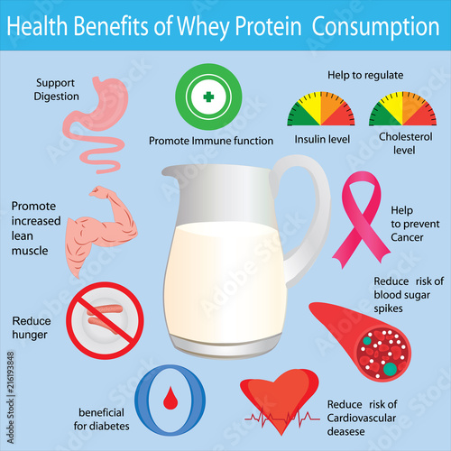 Health benefits of whey protein consuption infgraphic photo