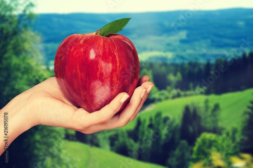 Woman hand holding big red apple