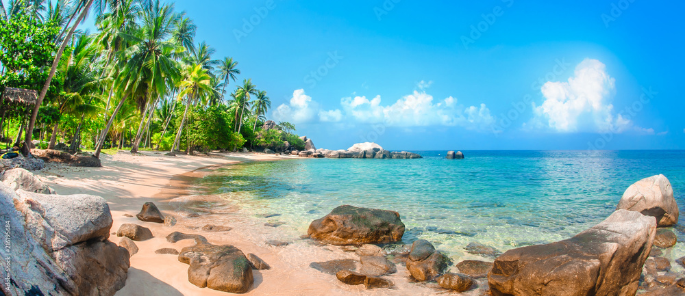 Obraz premium Piękna tropikalna plaża na egzotycznej wyspie z palmami