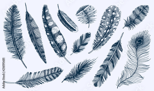Set of Rustic realistic feathers of different birds, owls, peacocks, ducks. engraved hand drawn in old vintage sketch. Vector illustration.