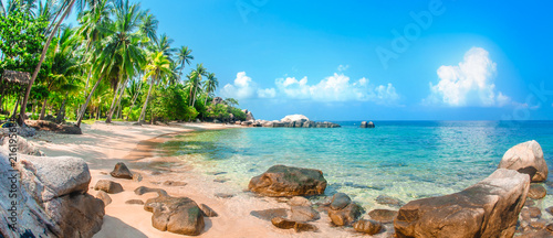 Beautiful tropical beach at exotic island with palm trees photo