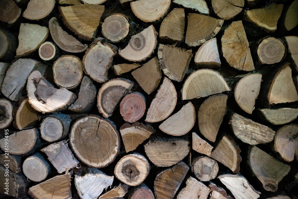 Natural wooden logs cut and stacked in pile, felled by the logging timber industry, Abstract photo of a pile of natural wooden logs background