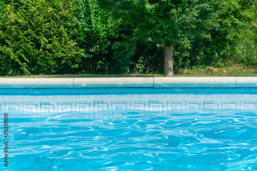 Blue swimming pool with edge and vegetation and plants in the background. Backdrop  wallpaper. summer.