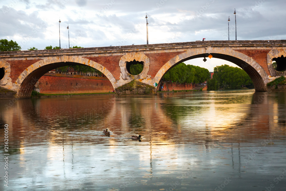 Fototapeta premium Pont Neuf over Garonne River in Toulouse