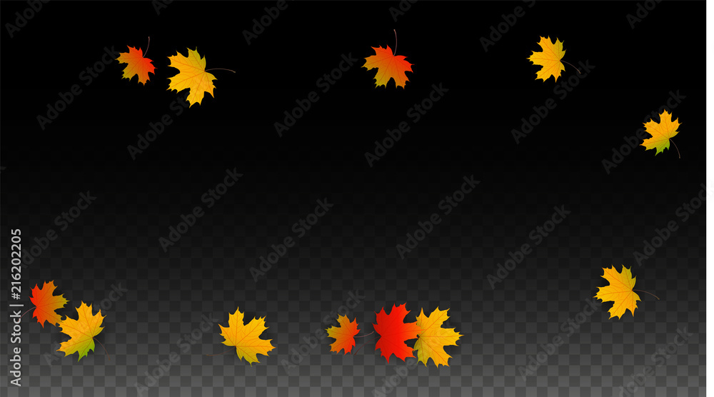 September Vector Background with Golden Falling Leaves. Autumn Illustration with Maple Red, Orange, Yellow Foliage. Isolated Leaf on Transparent Background. Bright Swirl. Suitable for Posters. September Vector Background with Golden Falling Leaves. Autumn Illustration with Maple Red, Orange, Yellow Foliage. Isolated Leaf on Transparent Background. Bright Swirl. Suitable for Posters.