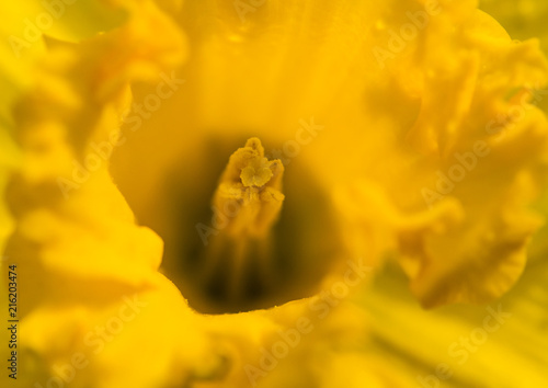 Place For Pollen