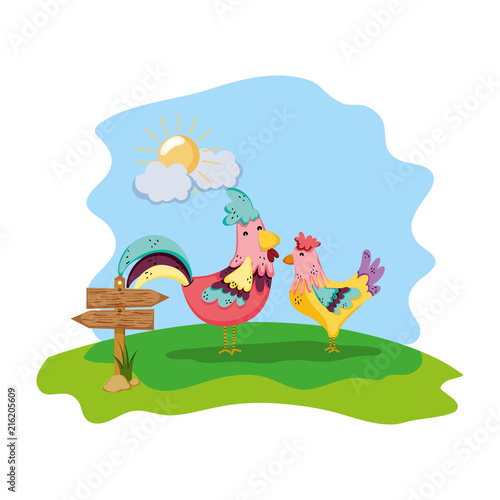 couple chicken farm animal with wood notices