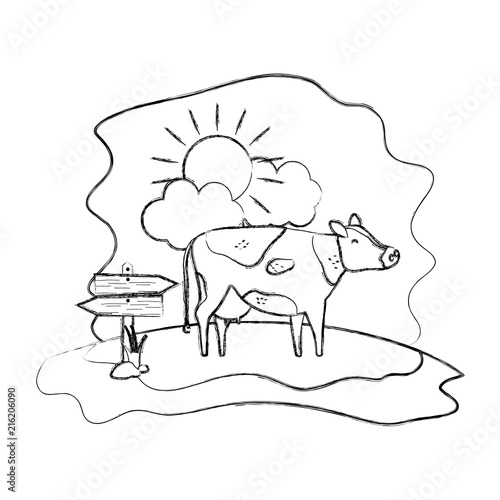 grunge cow farm animal with wood notices