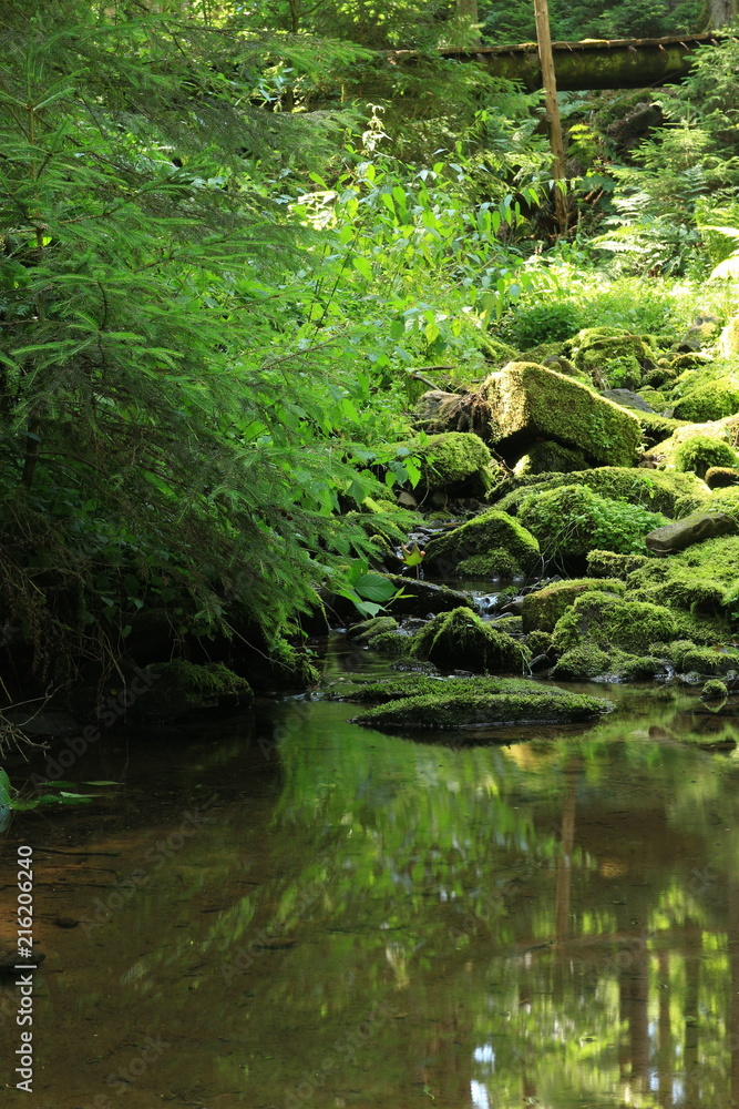 Obraz premium Die Lochbachklamm bei Wallenstein