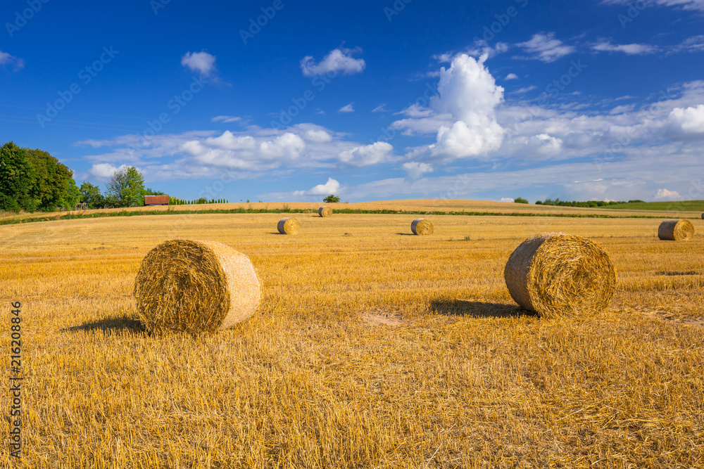 Hay bales on the field after harvest in Poland
