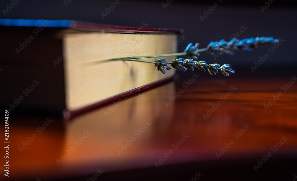 Old book with blue lavender flowers os a bookmark Old book with blue lavender flowers os a bookmark