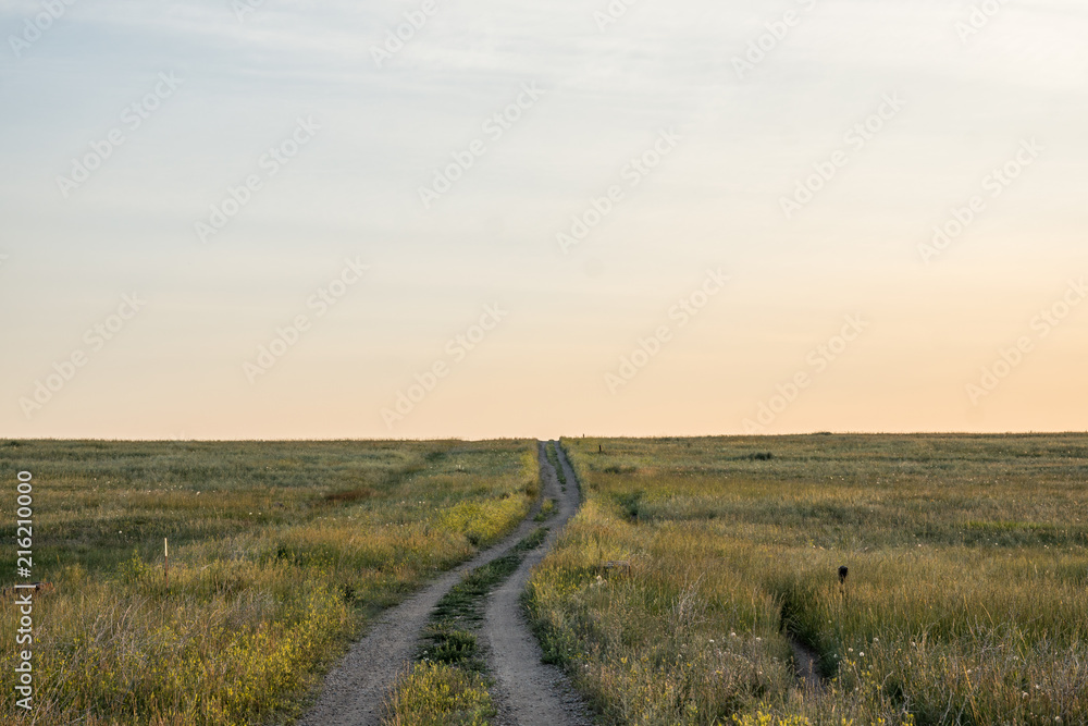 Hiking path in the plains 