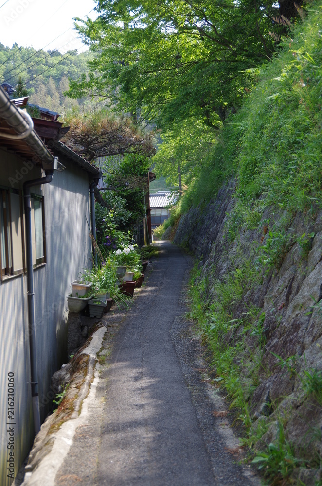小路 小路