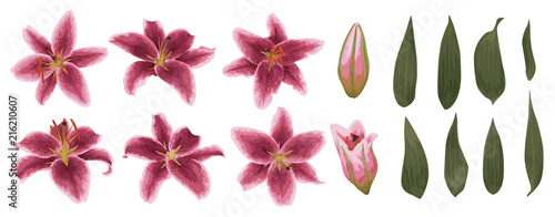 Vector floral bouquet design: set of tender yellow lily flowers, buds and green leaves. Wedding vector for invite card. Watercolor designer editable element bundle.