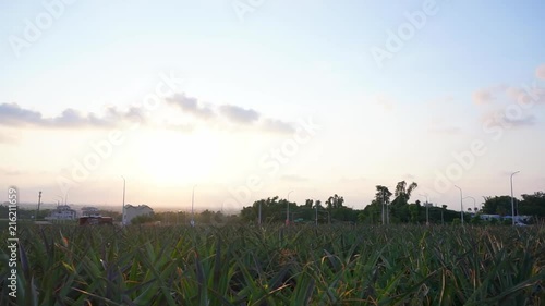 Lovely sunset at countryside photo