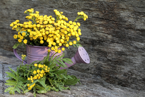 Gülden Knöpfe und Ringelblüten photo