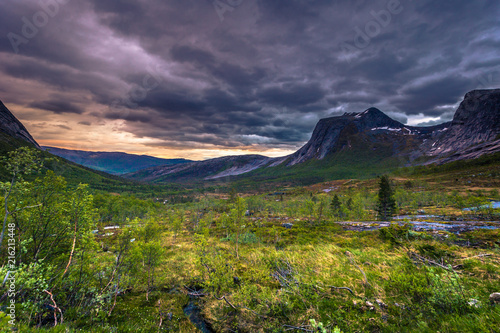 Fototapeta Naklejka Na Ścianę i Meble -  Landscape shot of a wild valley on the Lofoten Islands, Norway