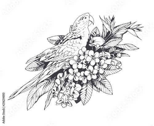 Hand drawn tropical flowers branch with Ara parrot isolated on white background