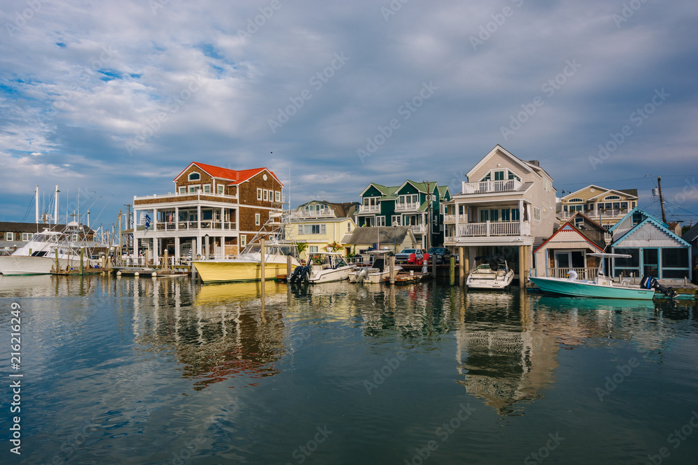 Cape May Harbor, in Cape May, New Jersey.