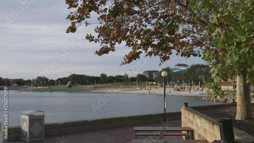 Trees at the Parkland, by a lake photo