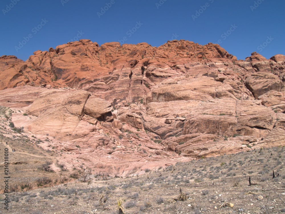 Nevada Desert