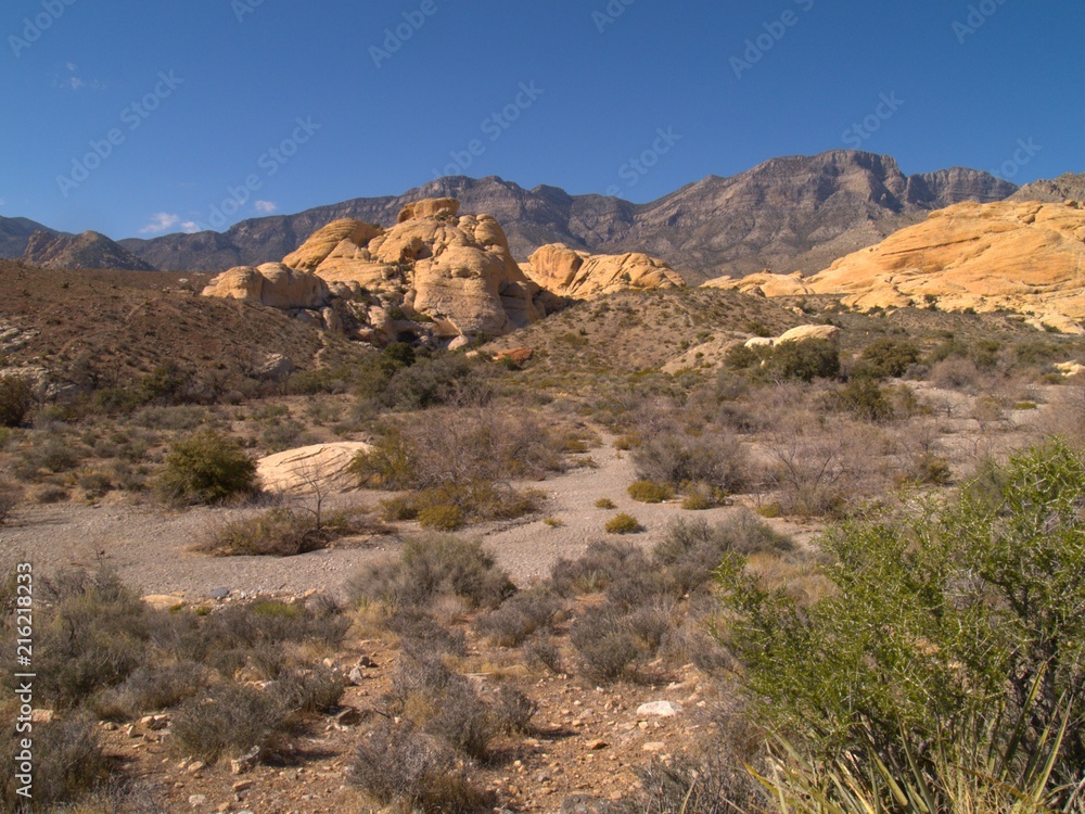 Fototapeta premium Neveda Desert