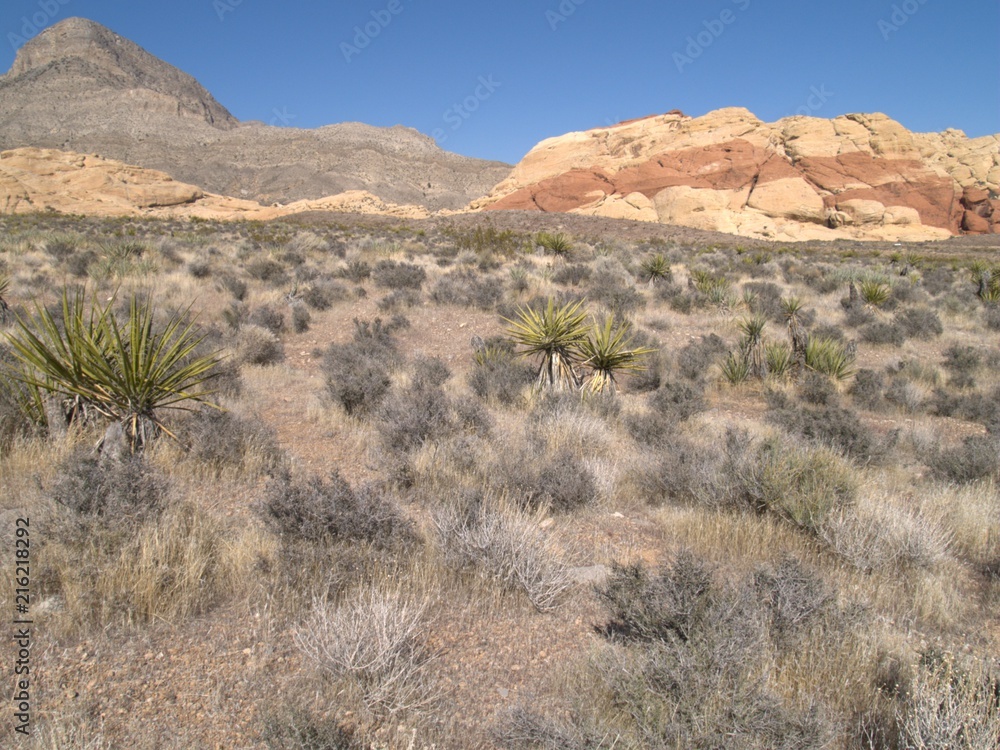 Neveda Desert Neveda Desert