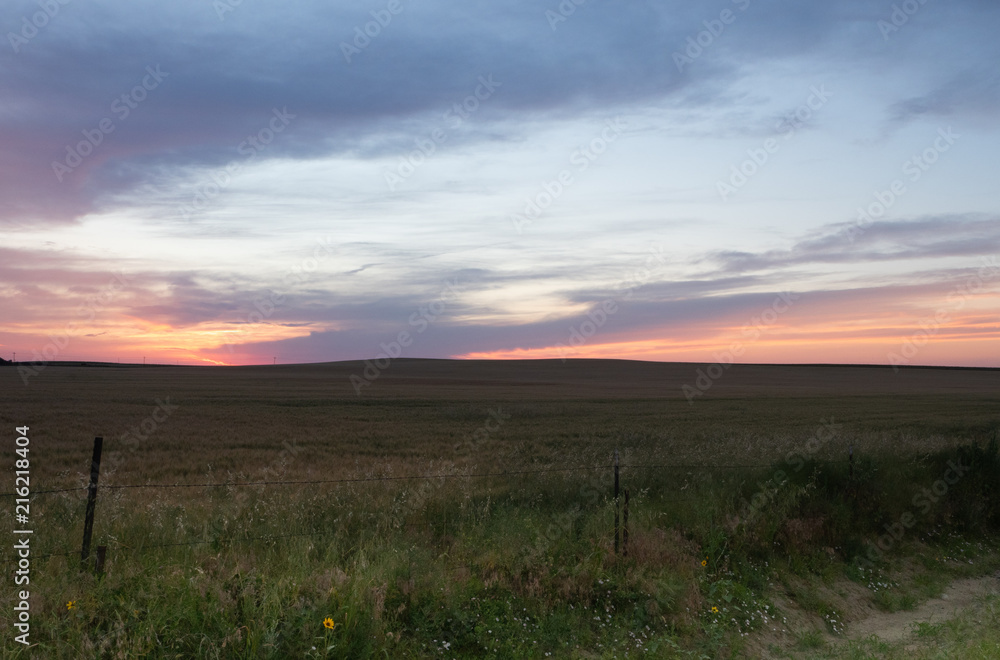 Brilliant Orange, Peach and Blue Sunset with Pasture in the Foreground
