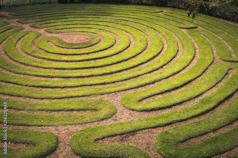 Green bushes circular labyrinth Green bushes circular labyrinth