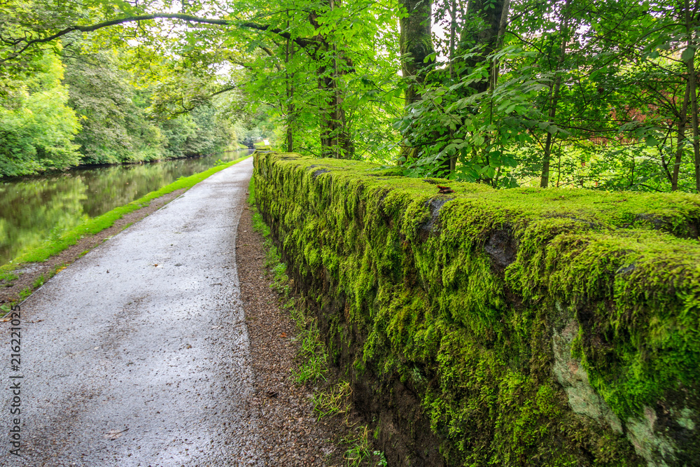 Fototapeta premium Towpath and green moss growing on stone wall