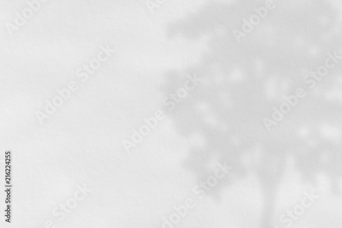 Shadow of tree on white paper, abstract background