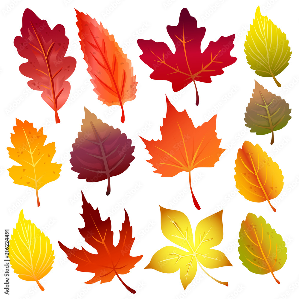 autumn leaves forest element icon set autumn leaves forest element icon set