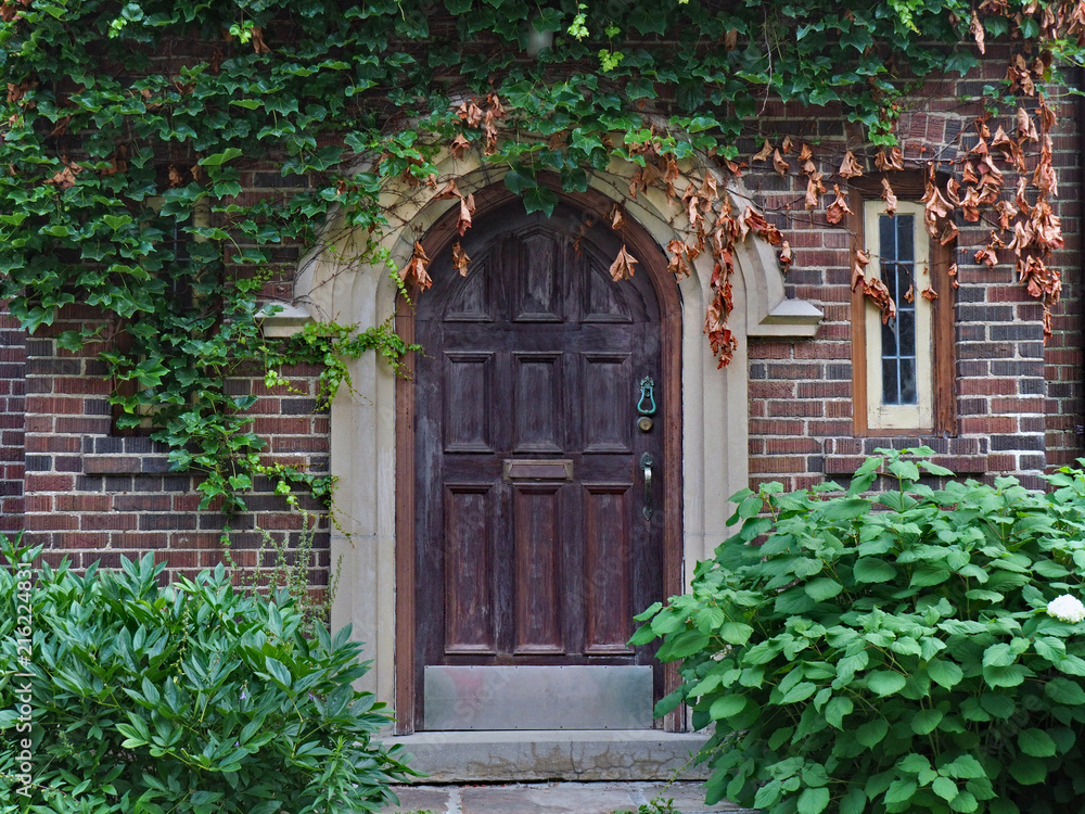 Naklejka premium dom ze starymi drewnianymi drzwiami otoczony winoroślą
