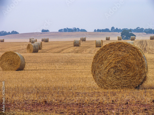 Hay Barrels #1 photo